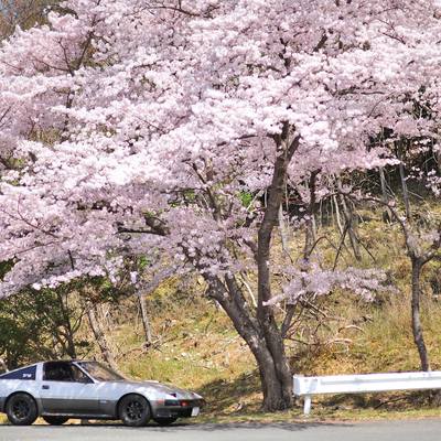 1986 Nissan 300ZX