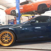 Blue 1995 Toyota Supra on Gold F1R F21